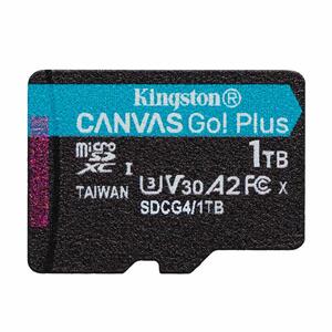 Карта пам`яті Kingston Canvas Go! Plus SDCG4/1TBSP