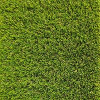 Декоративная трава PRETTIE GRASS MAGNOLIA 20