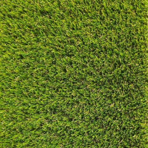 DECORATIVE GRASS PRETTIE GRASS MAGNOLIA 30