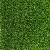 Декоративная трава PRETTIE GRASS GALICIA 20