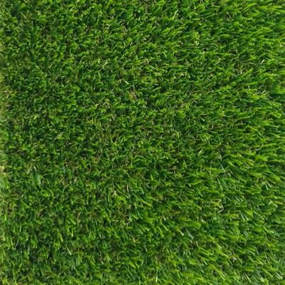 Декоративная трава PRETTIE GRASS GALICIA 20