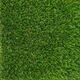 Декоративна трава PRETTIE GRASS GALICIA 30
