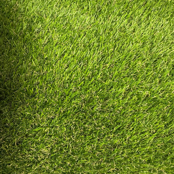 Декоративна трава Orotex Alcoya 30