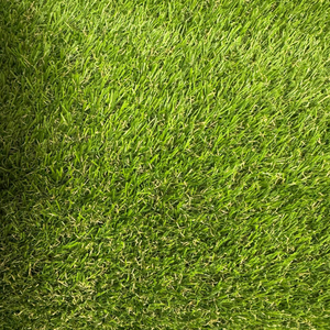 Декоративна трава Orotex Alcoya 30