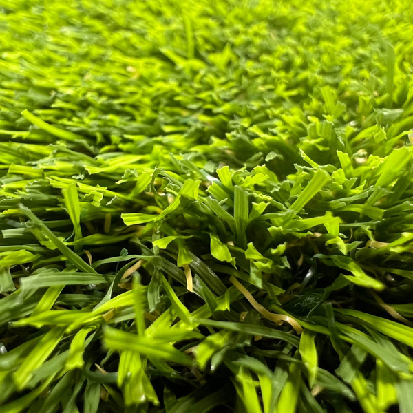 Декоративна трава Orotex Yanda