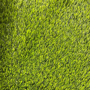 Декоративна трава Orotex Yanda