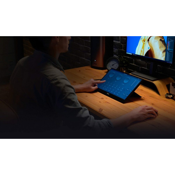 Монитор 14 Asus ProArt PA148CTV (90LM06E0-B01170)