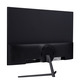 Монітор Prologix 23.8" PL2424HD IPS Black 100Hz