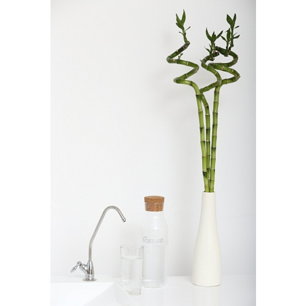 Система зворотного осмосу Ecosoft Standard MO550ECOSTD 5-50