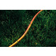 Шланг садовий 2E Aquaflex Orange 1/2 15м (2E-GHE12OE15)