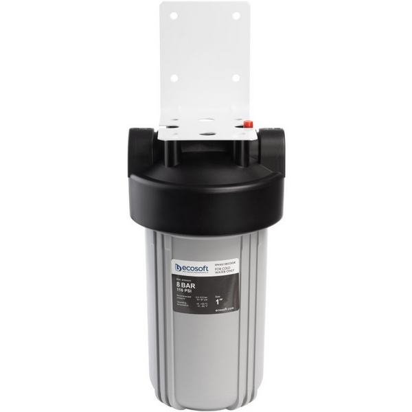 Фільтр Ecosoft BB10 1" (FPV4510ECOGR)