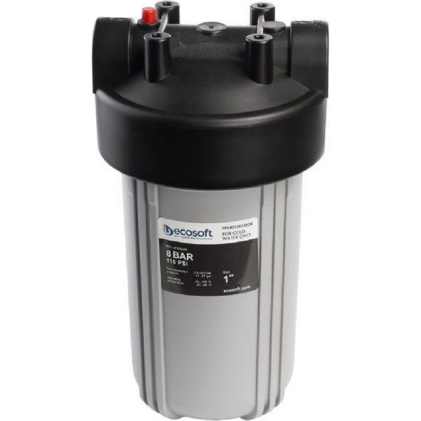 Фільтр Ecosoft BB10 1" (FPV4510ECOGR)