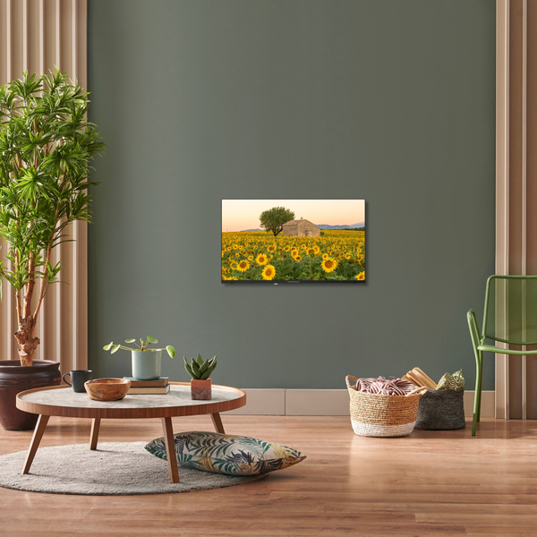 Телевiзор Thomson Android TV 32 HD 32HA2S13