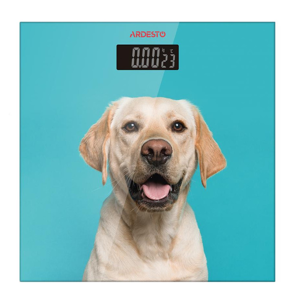 Ваги підлогові Ardesto SCB-965DOG