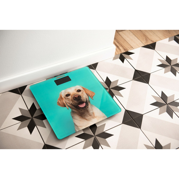 Ваги підлогові Ardesto SCB-965DOG