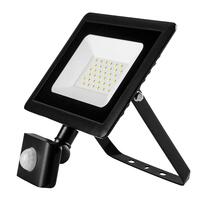 Neo Tools Прожектор, 2400 люмен, 30Вт, 220 В, SMD LED, датчик движения, кабель 0.15 м без вилки, алюминий, IP65
