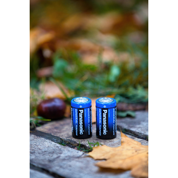 Panasonic Батарейка GENERAL PURPOSE угольно-цинковая D(R20) пленка, 2 шт.