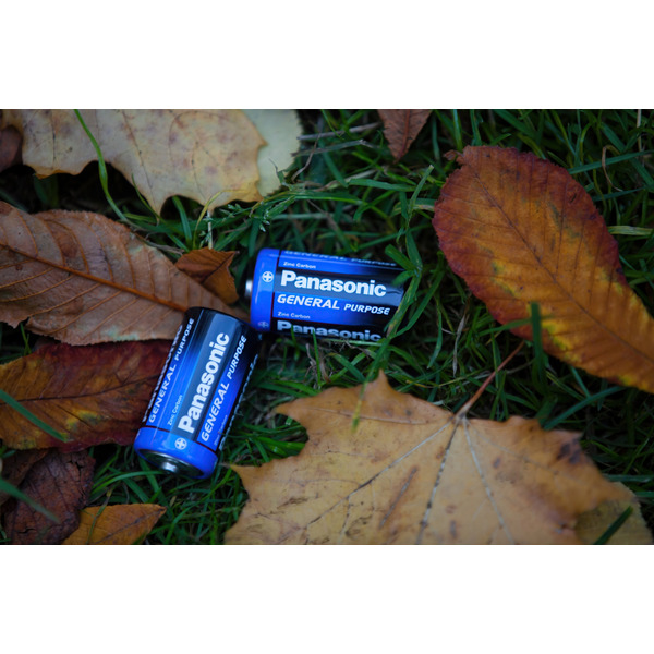 Panasonic Батарейка GENERAL PURPOSE угольно-цинковая D(R20) пленка, 2 шт.