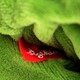 sigikid Гусеница (21 см) с вибрацией
