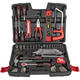 Набір інструментів Top Tool 1/4 ", 3/8", 100 предметів (38D535)