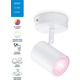 WiZ Умный накладной точечный светильник IMAGEO Spots 1х5W 2200-6500K RGB