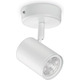 WiZ Умный накладной точечный светильник IMAGEO Spots 1х5W 2200-6500K RGB