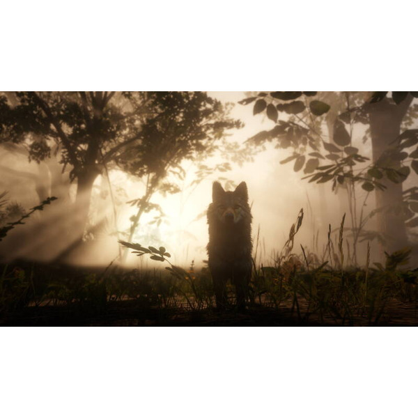 Гра Red Dead Redemption 2 для Sony PlayStation 4, Russian Subtitles, Blu-ray (5026555423052)