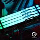 Kingston Память ПК DDR5 16GB 5600 Beast Black RGB