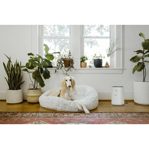 Karcher Воздухоочиститель AF 20 1.024-820.0