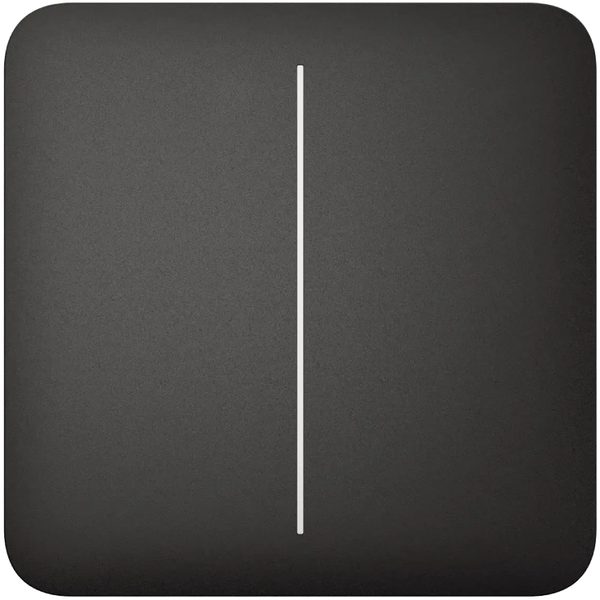 Кнопка двуклавишного выключателя