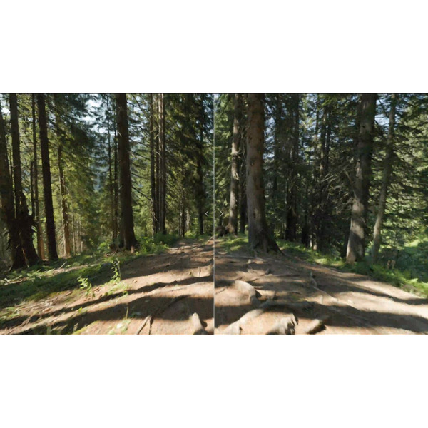 Canon Цифр. фотокамера EOS R6 Mark II + RF 24-105 f/4.0-7.1 IS STM