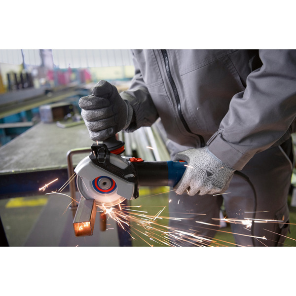 Шліфмашина кутова Bosch GWS 17-125 S (0.601.7D0.300)