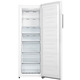 Морозильна Камера Gorenje FN617EEW5