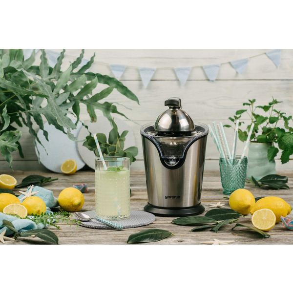 Соковіджималка Gorenje CJ100HE