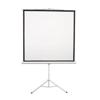 Экран на треноге 2E 112" (200x200, 1:1) (0011112T)
