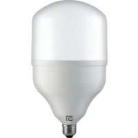 Лампа Светодиодная "TORCH-50" 50W 6400K E27