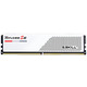 Модуль памяти DDR5 2x16GB/5600 G.Skill Ripjaws S5 White (F5-5600J3036D16GX2-RS5W)