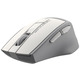 Мышь беспроводная A4Tech FG30S Grey/White