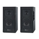 Акустическая система REAL-EL S-250 Black