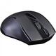 Мышь беспроводная A4Tech G9-500FS Black USB V-Track
