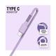 Кабель ACCLAB AL-CBCOLOR-T1PP USB - USB Type-C (M/M) 1.2 м Purple (1283126518270)