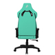 Кресло для геймеров 1stPlayer WIN101 Black-Green