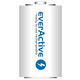 Аккумулятор everActive D/HR20 10000mAh BL 2шт