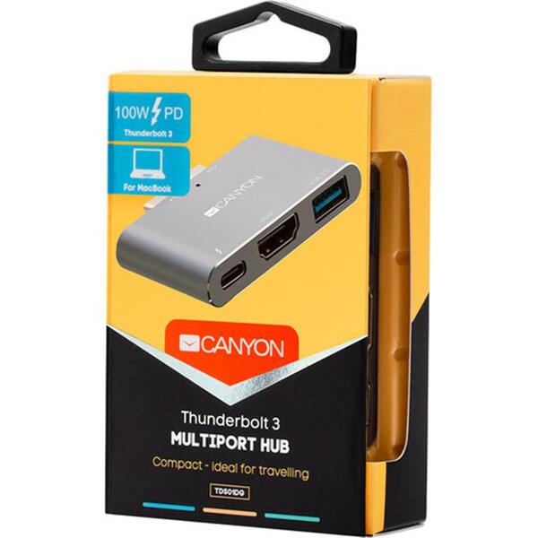 Док-станция Canyon CNS-TDS01DG