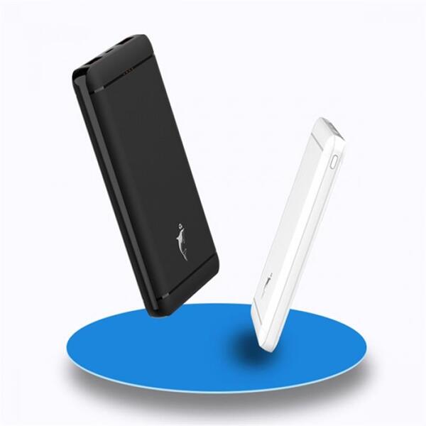 Внешний аккумулятор (Power Bank) SkyDolphin SP22 10000mAh White (PB-000099)