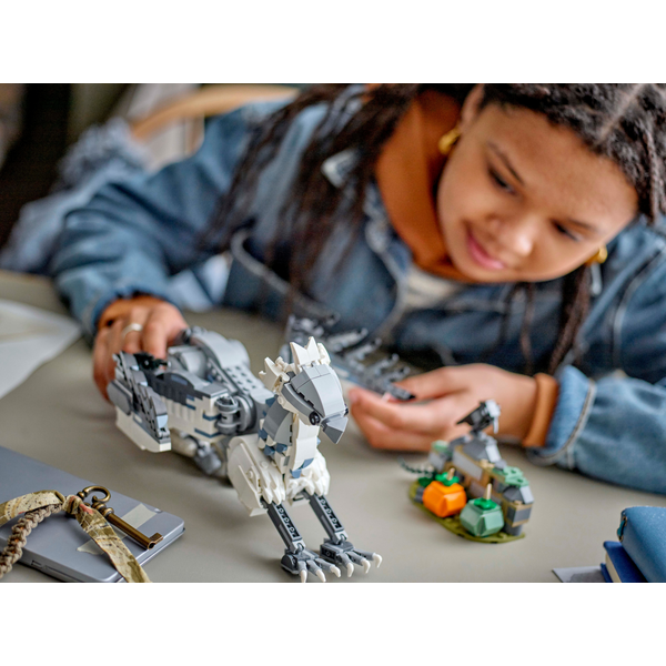 Конструктор LEGO 76427 Harry Potter Бакбик