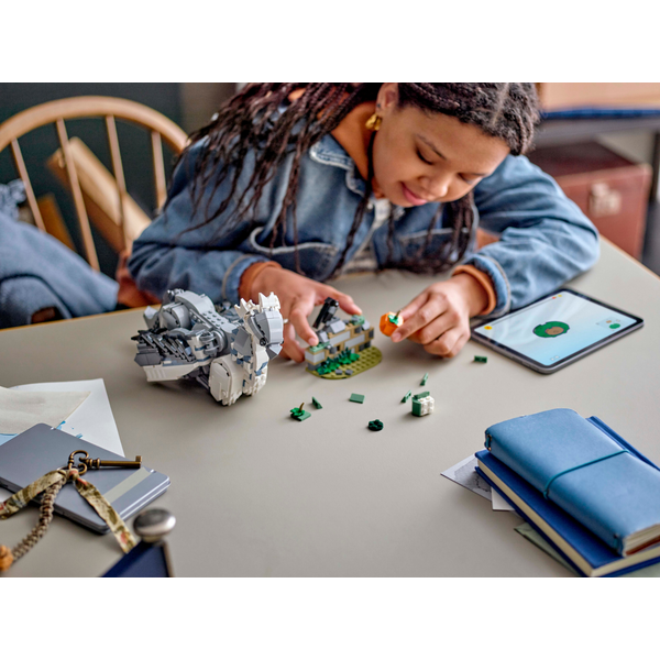 Конструктор LEGO 76427 Harry Potter Бакбик