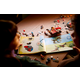 Конструктор LEGO 71484 Робот динозавр Купера