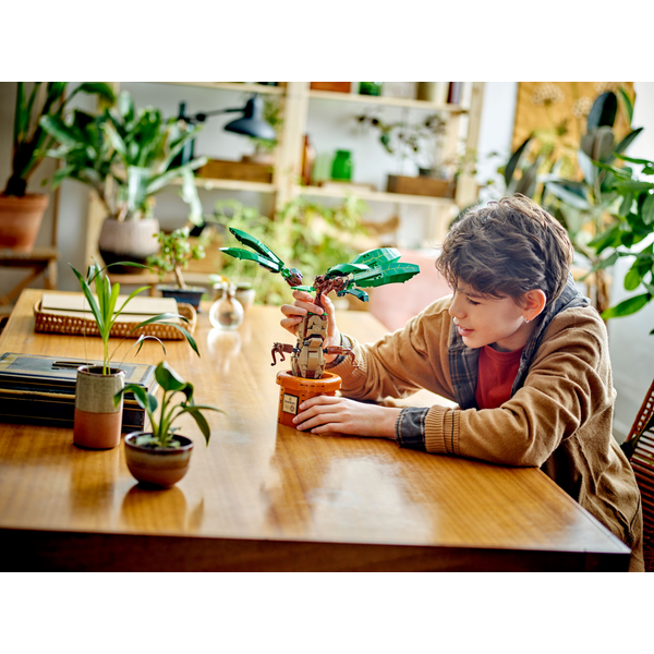 Конструктор LEGO 76433 Harry Potter Корінь мандрагори