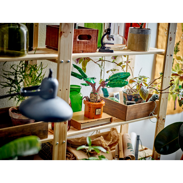 Конструктор LEGO 76433 Harry Potter Корінь мандрагори